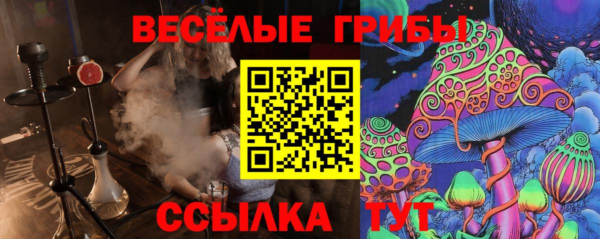 Псилоцибиновые грибы MAGIC MUSHROOMS Ишим