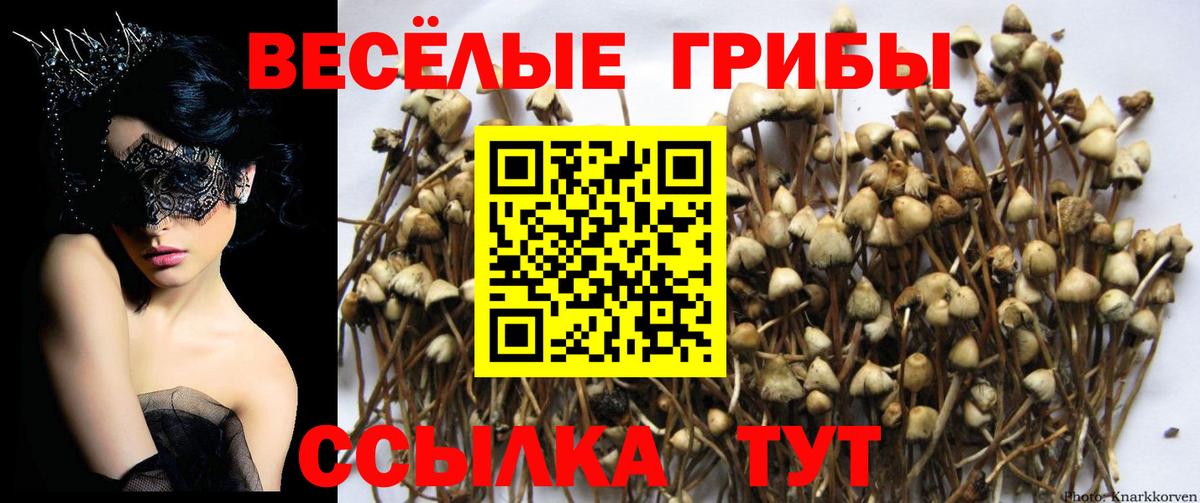 Ишим  Галлюциногенные грибы GOLDEN TEACHER  Вход с VPN 
